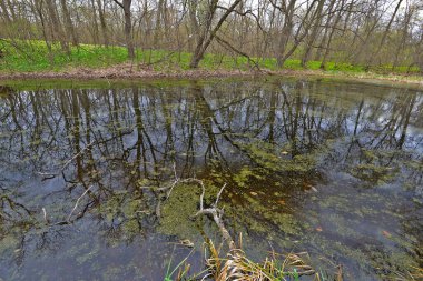 Samara Nehri Ukrayna 'da, Dinyeper' in (Karadeniz havzasının) sol kolu. Nehrin uzunluğu 311 km.. 