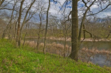Samara Nehri Ukrayna 'da, Dinyeper' in (Karadeniz havzasının) sol kolu. Nehrin uzunluğu 311 km.. 