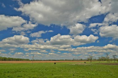 Güzel kırsal manzaralar Korolevka köyü Ukrayna.