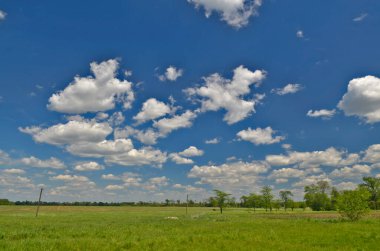 Güzel kırsal manzaralar Korolevka köyü Ukrayna.