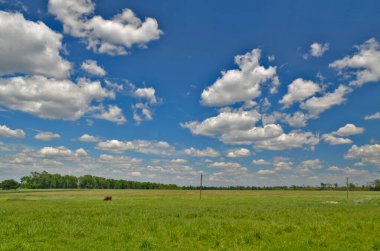 Güzel kırsal manzaralar Korolevka köyü Ukrayna.