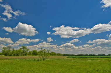 Güzel kırsal manzaralar Korolevka köyü Ukrayna.