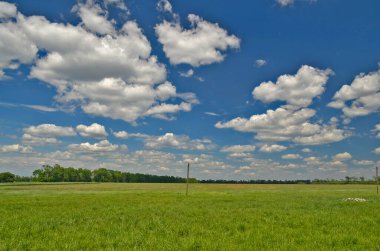 Güzel kırsal manzaralar Korolevka köyü Ukrayna.