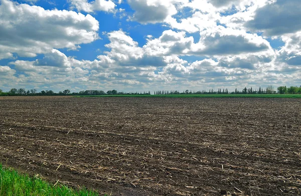 Beautiful Rural Landscapes Korolevka Village Ukraine — Stock Photo, Image