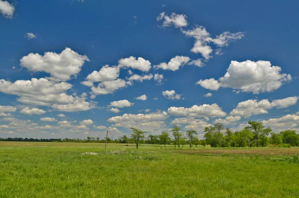 Güzel kırsal manzaralar Korolevka köyü Ukrayna.