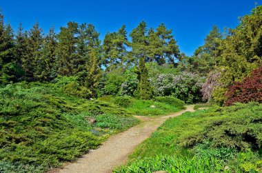 Sofiyivka Ulusal Dendroloji Parkı Ukrayna 'nın Cherkasy bölgesinin Uman şehrinin kuzeyinde yer alan Ukrayna Ulusal Bilimler Akademisi' nin bir araştırma enstitüsü.