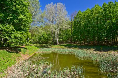 Sofiyivka Ulusal Dendroloji Parkı Ukrayna 'nın Cherkasy bölgesinin Uman şehrinin kuzeyinde yer alan Ukrayna Ulusal Bilimler Akademisi' nin bir araştırma enstitüsü.