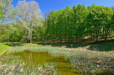 Sofiyivka Ulusal Dendroloji Parkı Ukrayna 'nın Cherkasy bölgesinin Uman şehrinin kuzeyinde yer alan Ukrayna Ulusal Bilimler Akademisi' nin bir araştırma enstitüsü.