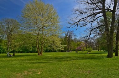 Ukrayna, Uman şehri 04 / 29 / 2018. Sofiyivka Ulusal Dendroloji Parkı Ukrayna 'nın Cherkasy bölgesinin Uman şehrinin kuzeyinde yer alan Ukrayna Ulusal Bilimler Akademisi' nin bir araştırma enstitüsü.