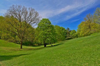 Sofiyivka Ulusal Dendroloji Parkı Ukrayna 'nın Cherkasy bölgesinin Uman şehrinin kuzeyinde yer alan Ukrayna Ulusal Bilimler Akademisi' nin bir araştırma enstitüsü.