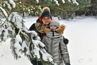 Karlı bir ormanda iki aile yürüyor..