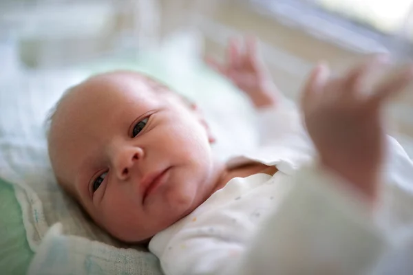 Neonato Maschio Ospedale Maternità — Foto Stock