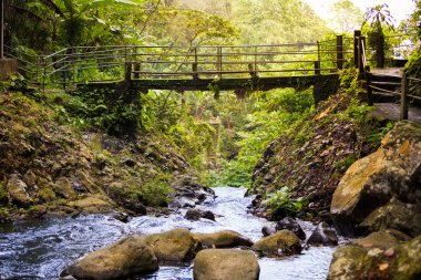 ahşap köprü bir akışı üstünden geçiyor.