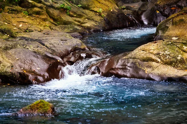 Cours Eau Dans Forêt Tropicale — Photo