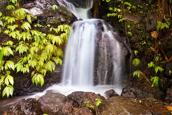 şelale adımları ve yeşil