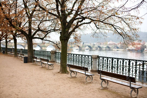 Bancs Automne Avec Vue Sur Rivière Pont Loin — Photo