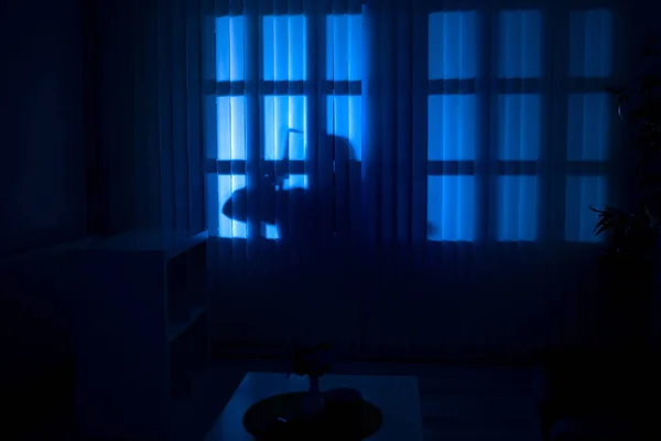 Roubo Ladrão Invadindo Uma Casa Noite — Fotografia de Stock