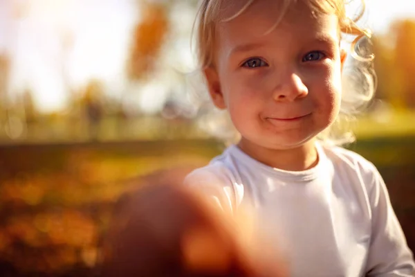 Portrait Beau Garçon Enfant Joyeux Petit Garçon Dans Parc Automne — Photo