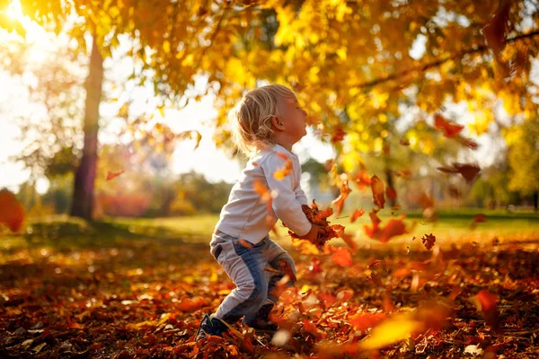 Glücklicher Liebenswerter Junge Mit Blättern Herbstpark Das Konzept Von Kindheit — Stockfoto