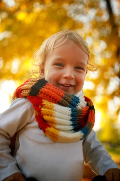 Portret Van Een Glimlachend Kind Jongen Herfst Park Het Concept — Stockfoto