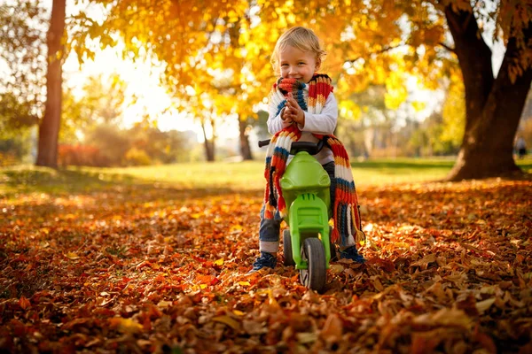 Sonriente Niño Divirtiéndose Bicicletas Parque Otoño — Foto de Stock