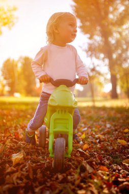 küçük çocuk sonbahar park bisiklet üzerinde eğleniyor