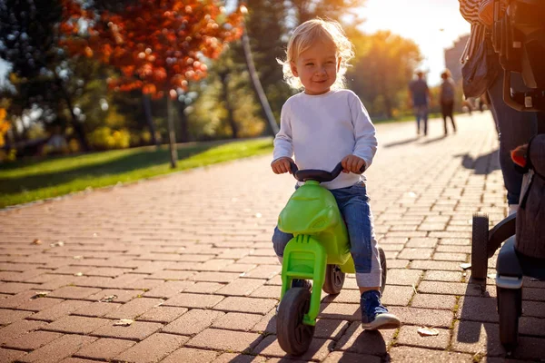 Niedliches Kleinkind Hat Spaß Auf Fahrrädern Herbstpark — Stockfoto