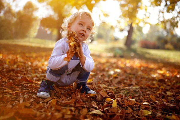 Mignon Blond Garçon Tenir Coloré Feuilles — Photo