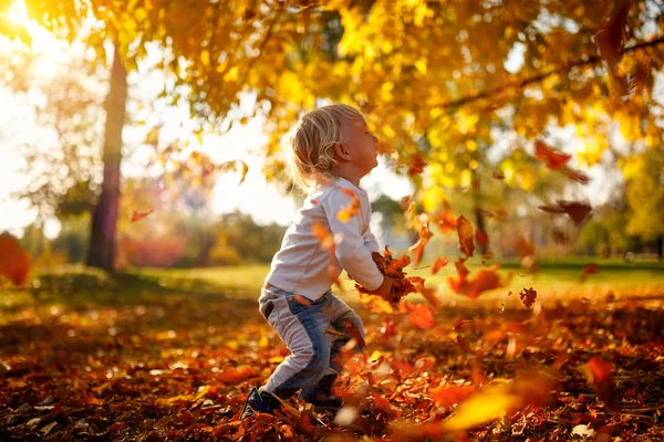 Heureux Adorable Enfant Garçon Avec Des Feuilles Dans Parc Automne — Photo