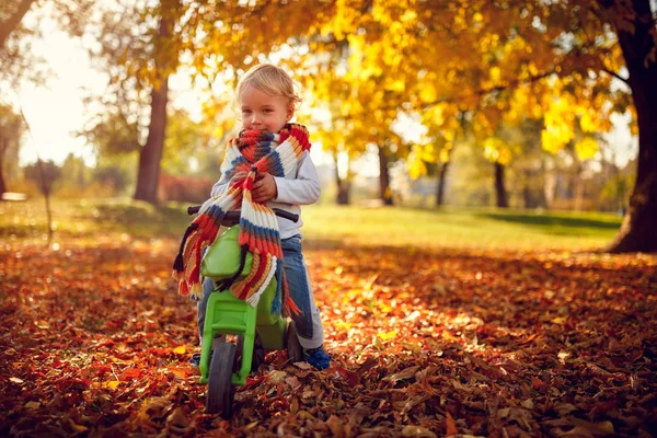 Szczęśliwy Chłopiec Zabawy Rowery Jesienny Park — Zdjęcie stockowe