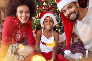 Afro-Amerikan aile Noel ağacı önünde gülümseyen portresi