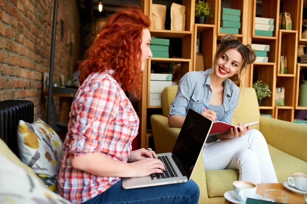 Two Students Preparing Lessons Together Faculty — Stock Photo, Image