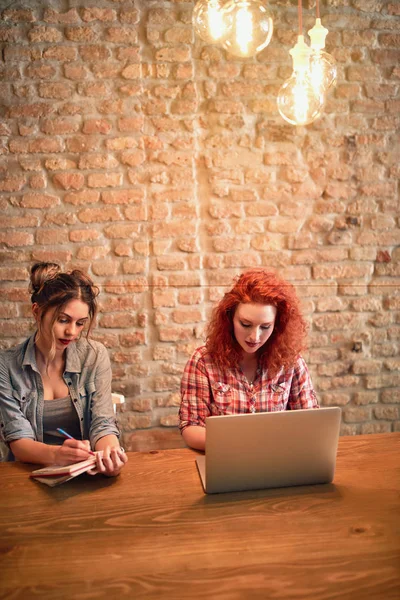 Meninas Trabalham Para Exame Juntos Café — Fotografia de Stock