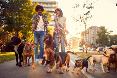 profesyonel yürüyüşçü köpek köpek köpek ile yürüyüş zevk