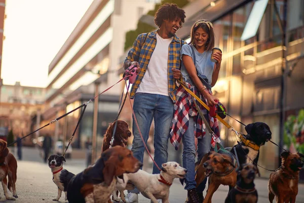 Grupo de perros con pareja paseador de perros disfrutando en paseo al aire libre —  Fotos de Stock