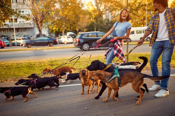 Professional couple dog walker with dogs enjoying in walk — Stock Photo, Image