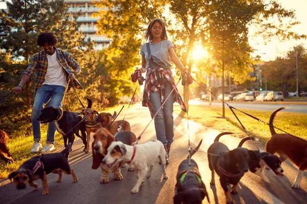 幸福夫妇狗步行者与狗享受在步行 — 图库照片