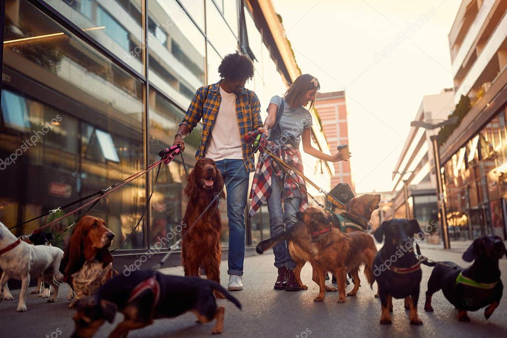 Smiling couple dog walker in the street with dog