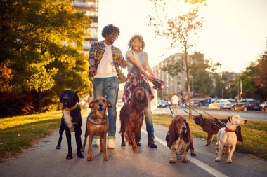 köpek ile yürüyüş te zevk çift