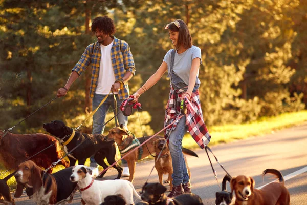 Caminhantes homem e mulher cão com cão desfrutando no parque — Fotografia de Stock