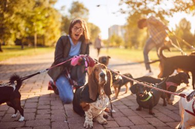 Kız köpek bir grup yürüyüş ve açık zevk