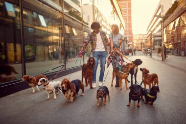 Köpek ile sokakta gülümseyen kız ve adam köpek yürüteç