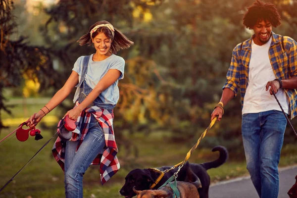 Професійний чоловік і жінка собака ходить з собакою, насолоджуючись в парку — стокове фото