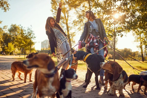 Mädchen genießen mit Hunden beim Spaziergang im Freien — Stockfoto