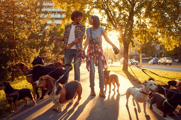 Dziewczyna i człowiek pies piechur z psy ciesząc w chodzić — Zdjęcie stockowe