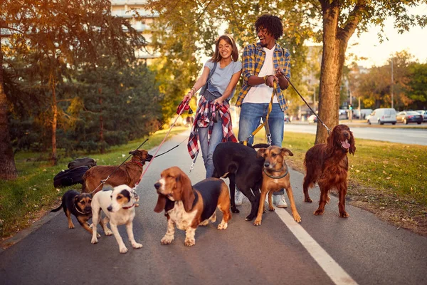 Happy woman and man dog walker with dogs enjoying in walk — Stock Photo, Image