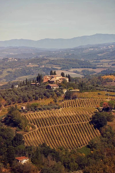 Передмістя і пейзажі красивих Тоскана. виноградники і с — стокове фото