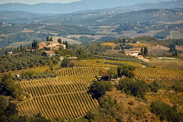 Paisaje en Toscana con colina, casa y viñedo —  Fotos de Stock