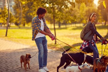 Profesyonel köpek Walker-çift köpek Walker e ile köpek grubu