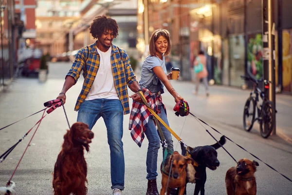 Hund vandrare med hund njuter i staden — Stockfoto